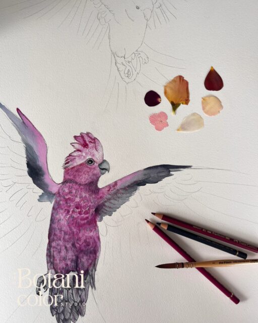 All the little details ♥
How does a bridal bouquet artwork by Studio Botanicolor come to life?
1. The fresh bouquet is carefully pressed and preserved over several weeks after the wedding. This takes a lot of time and patience.
2. A design proposal is created based on your wishes for the artwork.
3. The illustrations are hand-painted on high-quality cotton paper using watercolors and colored pencils.
4. The flowers from your bouquet are individually integrated into the artwork.
5. Finally, the piece is framed with 93% UV-protection glass.
Any questions about the process? Feel free to reach out.
Are you getting married in Austria in 2026 and want to keep your bridal bouquet forever? Write me a DM or an email to office@botanicolor.com!
yours, Evelyn 
#destinationwedding #vienna #gettingmarriedinaustria #bouquetartwork #austria #bridalbouquetart #brautstrauß #brautstraußfürdieewigkeit #hochzeit #brautstraußkonservierung #hochzeitstrends #hochzeitsideen