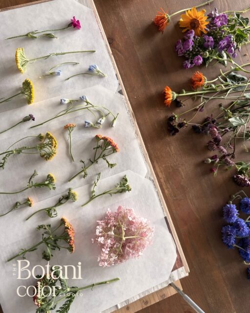 Grüße aus der Werkstatt 🌼 🌸 🌷
Der Juni ist dieses Jahr DAS Hochzeitsmonat und es trudeln jedes Wochenende neue Brautsträuße ein 😍
Der Juni ist übrigens restlos ausverkauft, ich nehme erst wieder für Juli Aufträge entgegen.
❤️ Du heiratest 2026/27? Buche jetzt dein ganz persönliches Brautstrauß Kunstwerk aus den gepressten Blumen deines Brautstraußes!
#hochzeit #brautstrauss #brautstraußkonservierung #österreich