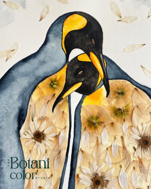Lohnt es sich, einen rein weißen Brautstrauß zu konservieren? Die Antwort ist für mich ganz klar JA! Im Fall von I & Ns Brautstrauß-Kunstwerk, welches das Thema "Pinguine" bekommen sollte, habe ich die weißen Blüten einfach in die Pinguine eingearbeitet. 🐧 Egal was kommt - wir finden immer eine Lösung, die für EUCH passt!
N & I - danke für euer Vertrauen und dass ich euren Brautstrauß in eine ewige Erinnerung an eure Hochzeit verwandeln durfte! ♥♥♥
Floristik Brautstrauß: @florentina.blumen
Foto Brautpaar: @jakoblehnerphotography
#brautstrauß #brautstraußkonservierung #hochzeit