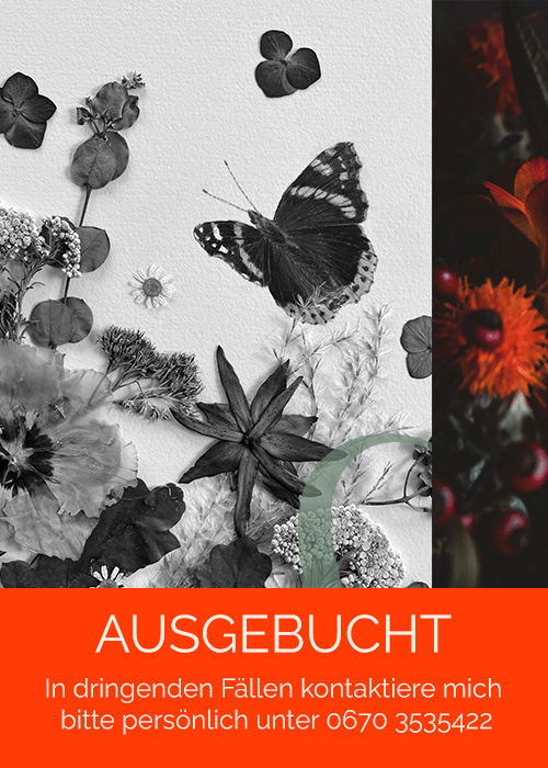 Brautstrauß-Konservierung von Botanicolor Bouquet Art Studio ausgebucht